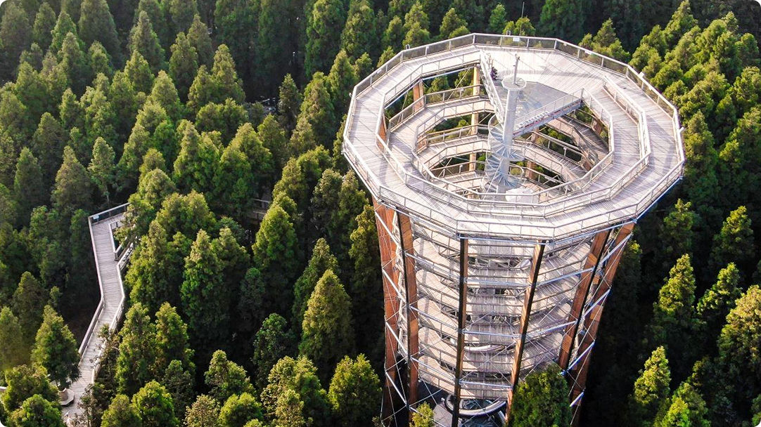 Montagne Xiannv - Promenade au sommet des arbres, Chongqing